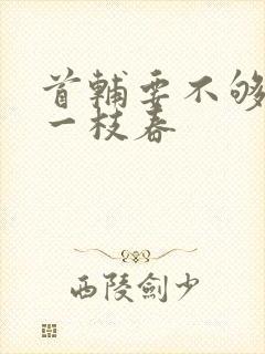 首辅要不够po一枝春封面