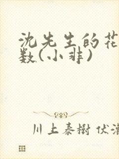 沈先生的花式调数(小非)