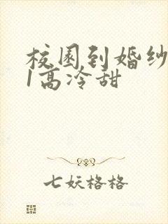 校园到婚纱1V1高冷甜封面