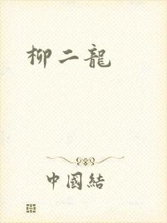 柳二龙封面