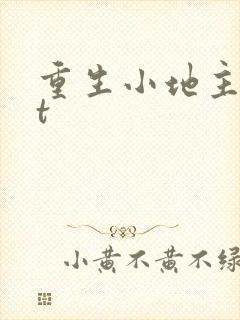 重生小地主txt