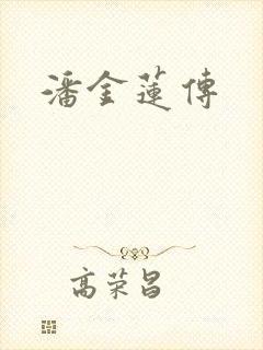 潘金莲传封面