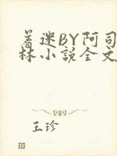 着迷BY阿司匹林小说全文免费阅读封面
