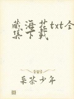 藏海花txt全集下载