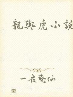 龙与虎小说