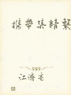 携带集精系统