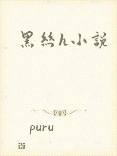 黑丝h小说