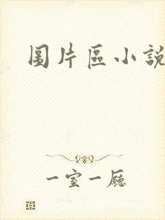 图片区小说区