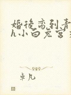 婚后脔到青梅哭h小白兔宫交h封面