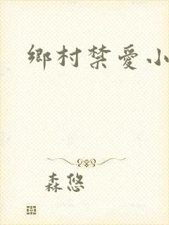 乡村禁爱小说封面