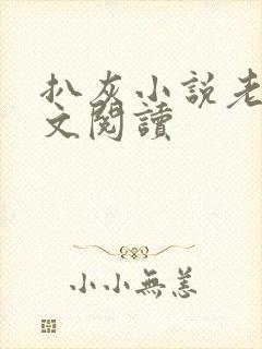 扒灰小说老马全文阅读