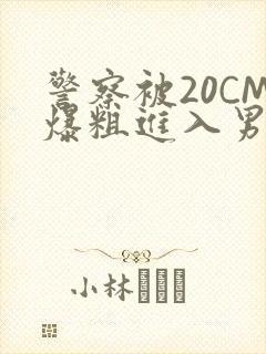 警察被20CM爆粗进入男男软件
