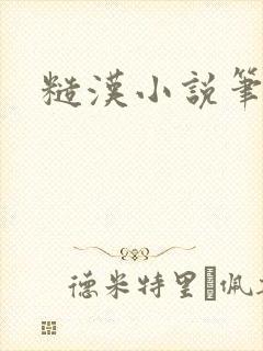 糙汉小说笔趣阁