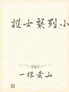 护士系列小说