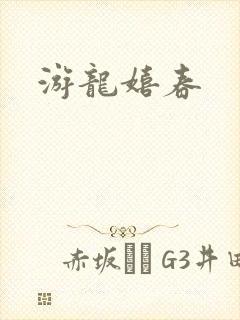 游龙嬉春封面