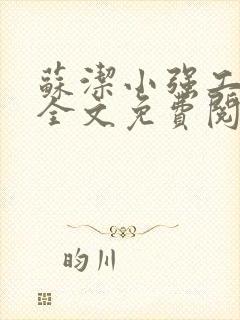 苏洁小强工地情全文免费阅读