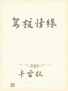 驾校情缘