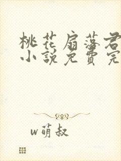 桃花扇落君不还小说免费完整版