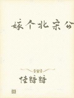 嫁个北宋公务员