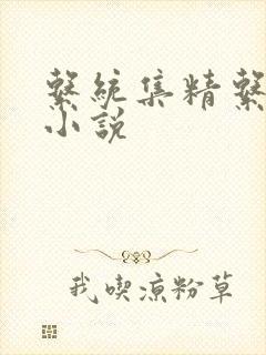 系统集精系统 小说
