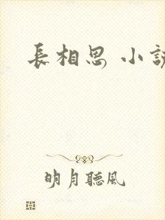 长相思 小说
