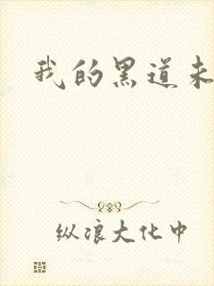 我的黑道未婚夫