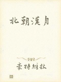 北朝汉月封面