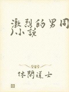 激烈的男同(h)小说封面