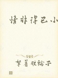 情非得已小说