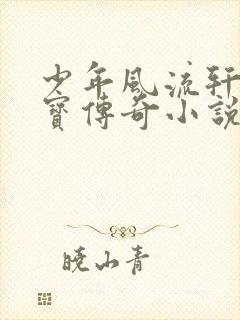 少年风流轩辕大宝传奇小说