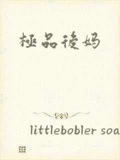 极品后妈