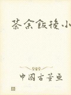 茶余饭后小说