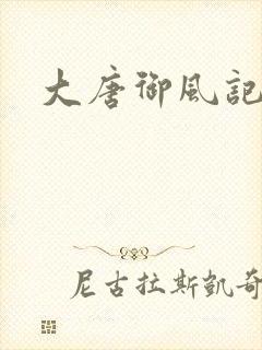 大唐御风记