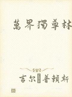 万界独尊林枫