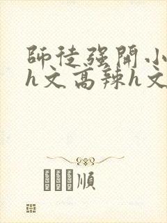 师徒强开小嫩苞h文高辣h文