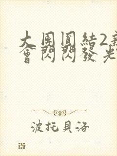 大团圆结2亲情会闪闪发光亲情会封面