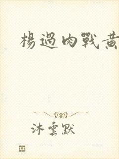 杨过肉战黄蓉