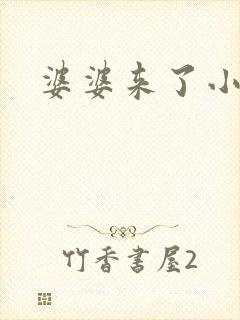 婆婆来了小说