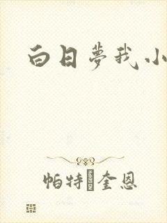 白日梦我小说