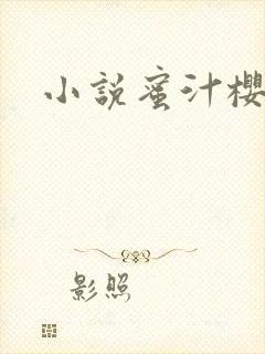 小说蜜汁樱桃