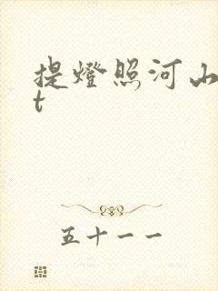 提灯照河山txt