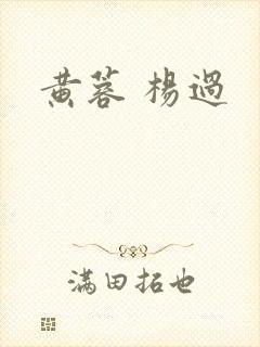 黄蓉 杨过
