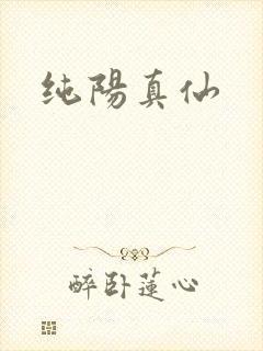 纯阳真仙