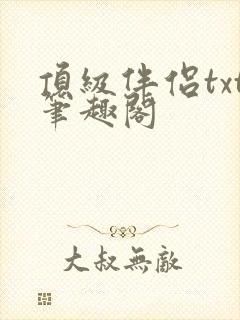 顶级伴侣txt笔趣阁