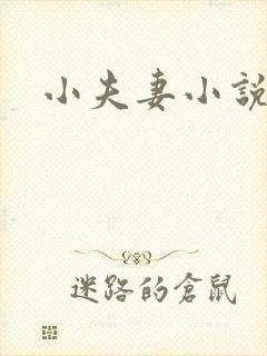 小夫妻小说封面