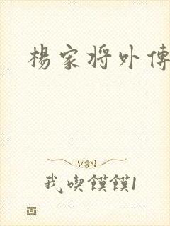 杨家将外传