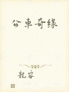 公车奇缘