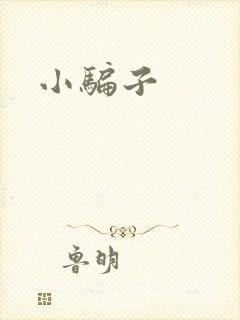 小骗子
