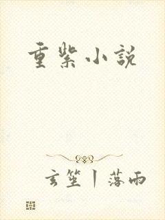 重紫小说