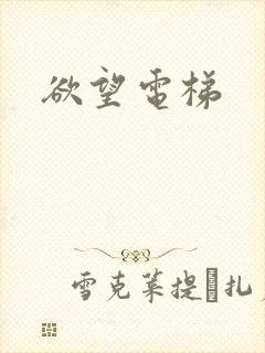 欲望电梯